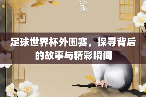 足球世界杯外围赛，探寻背后的故事与精彩瞬间