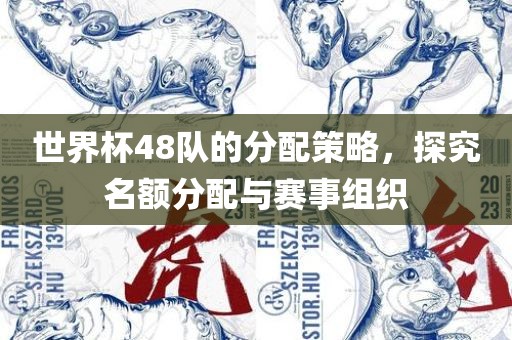世界杯48队的分配策略，探究名额分配与赛事组织