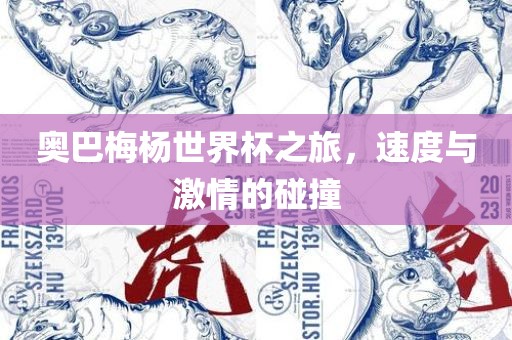 奥巴梅杨世界杯之旅，速度与激情的碰撞