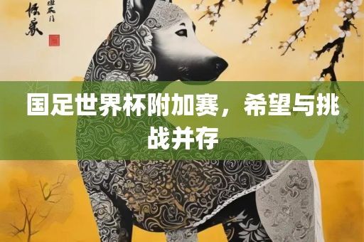 国足世界杯附加赛，希望与挑战并存