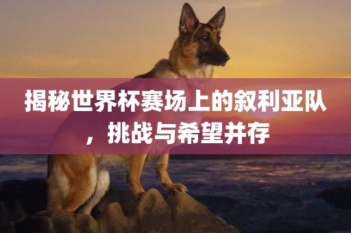 揭秘世界杯赛场上的叙利亚队，挑战与希望并存