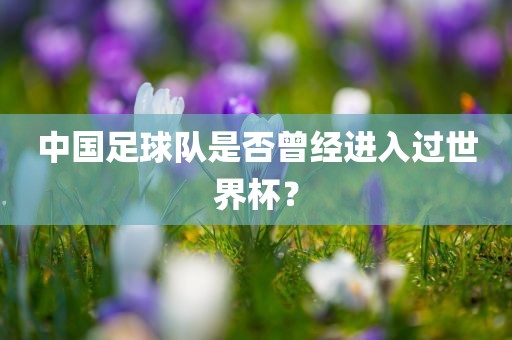 中国足球队是否曾经进入过世界杯？