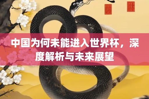 中国为何未能进入世界杯，深度解析与未来展望