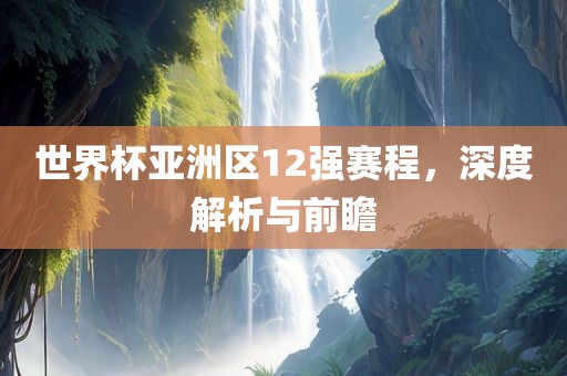世界杯亚洲区12强赛程，深度解析与前瞻