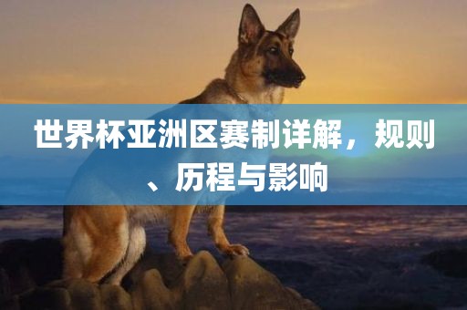 世界杯亚洲区赛制详解，规则、历程与影响
