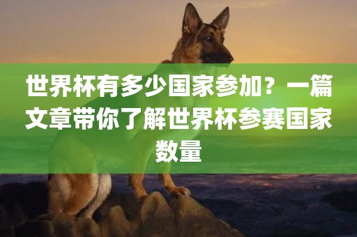 世界杯有多少国家参加？一篇文章带你了解世界杯参赛国家数量