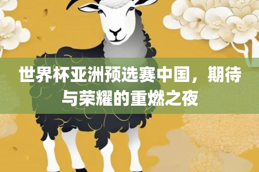 世界杯亚洲预选赛中国，期待与荣耀的重燃之夜