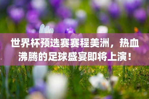 世界杯预选赛赛程美洲，热血沸腾的足球盛宴即将上演！