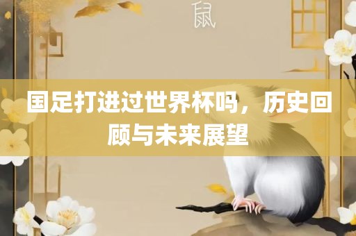 国足打进过世界杯吗，历史回顾与未来展望
