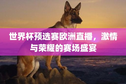 世界杯预选赛欧洲直播，激情与荣耀的赛场盛宴