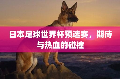 日本足球世界杯预选赛，期待与热血的碰撞