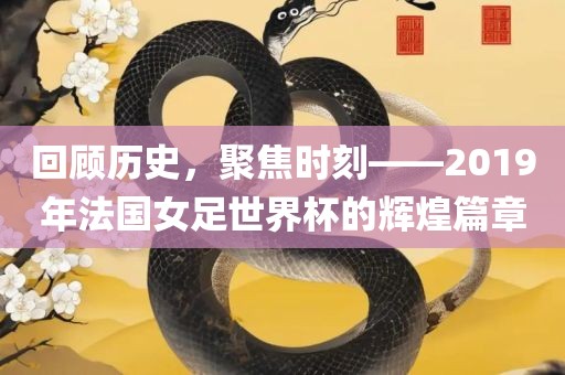 回顾历史，聚焦时刻——2019年法国女足世界杯的辉煌篇章
