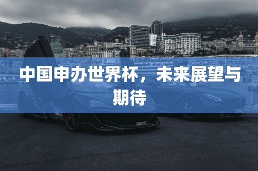 中国申办世界杯，未来展望与期待