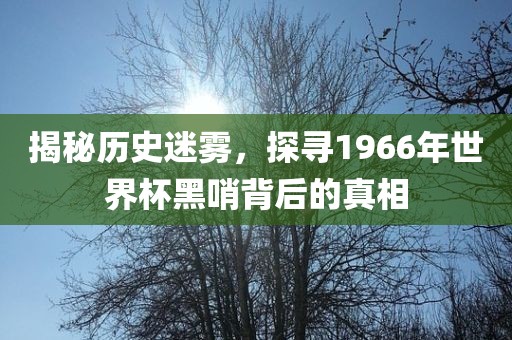 揭秘历史迷雾，探寻1966年世界杯黑哨背后的真相