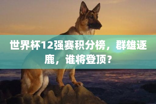 世界杯12强赛积分榜，群雄逐鹿，谁将登顶？