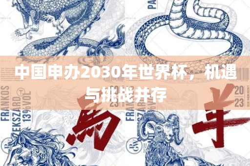中国申办2030年世界杯，机遇与挑战并存