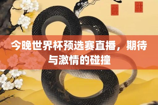 今晚世界杯预选赛直播，期待与激情的碰撞