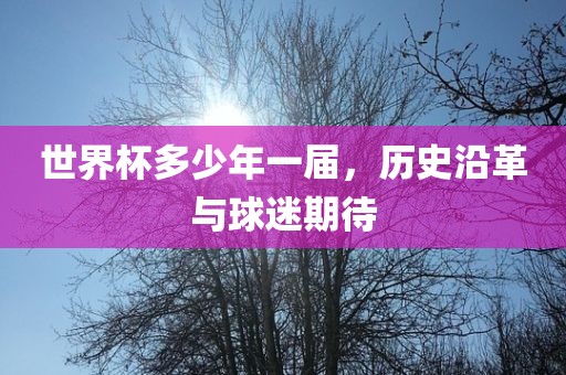 世界杯多少年一届，历史沿革与球迷期待漯河市盈旭机械设备有限公司
