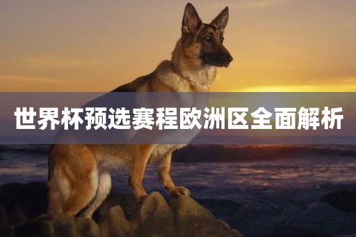 世界杯预选赛程欧洲区全面解析漯河市盈旭机械设备有限公司