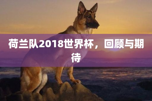 荷兰队