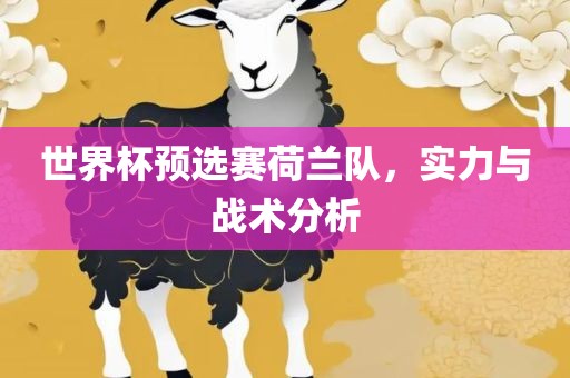 世界杯预选赛荷兰队，实力与战术分析