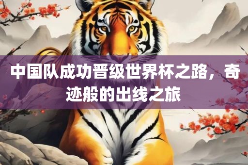 中国队成功晋级世界杯之路，奇迹般的出线之旅