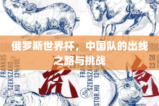 俄罗斯世界杯，中国队的出线之路与挑战