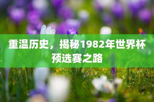 重温历史，揭秘1982年世界杯预选赛之路