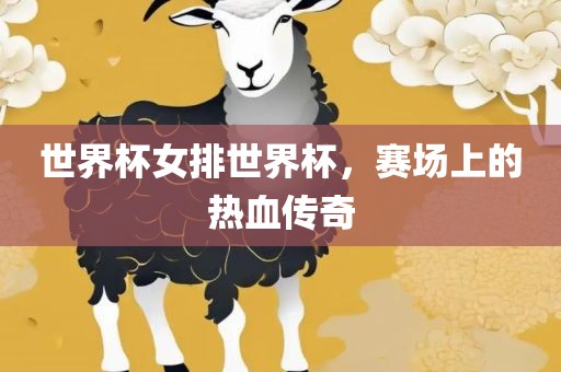 世界杯女排世界杯，赛场上的热血传奇