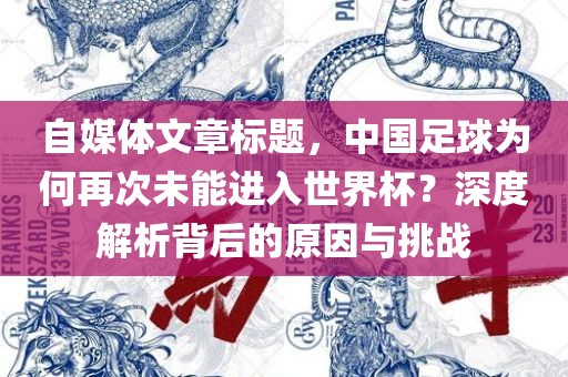 自媒体漯河市盈旭机械设备有限公司文章标题，中国足球为何再次未能进入世界杯？深度解析背后的原因与挑战