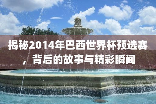 巴西世界杯预选赛
