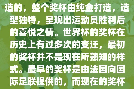 世界杯的杯来源于为了纪念雷米特，同时也是为了鼓励足球运动的发展，国际足联将这一荣誉奖杯命名为雷米特杯。其最初是由法国雕刻家设计并创造的，整个奖杯由纯金打造，造型独特，呈现出运动员胜利后的喜悦之情。世界杯的奖杯在历史上有过多次的变迁，最初的奖杯并不是现在所熟知的样式。最早的奖杯是由法国向国际足联提供的，而现在的奖杯是在多次设计之后最终确定的。因此，世界杯的杯来源于对足球运动的纪念和鼓励，同时也是经过多次设计和改进而成的。