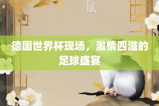 德国世界杯现场，激情四溢的足球盛宴
