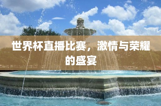 世界杯直播比赛，激情与荣耀的盛宴