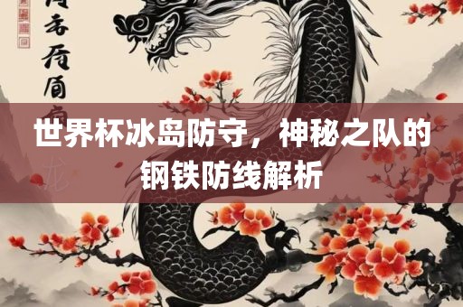 世界杯冰岛防守，神秘之队的钢铁防线解析