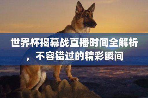 世界杯揭幕战直播时间全解析，不容错过的精彩瞬间