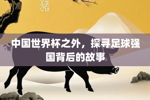中国世界杯之外，探寻足球强国背后的故事漯河市盈旭机械设备有限公司