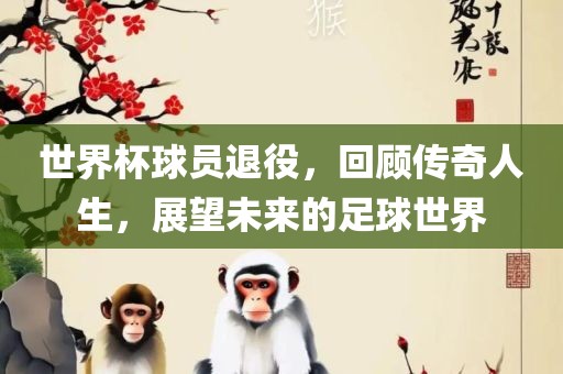 世界杯球员退役，回顾传奇人生，展望未来的足球世界