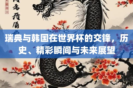 瑞典与韩国在世界杯的交锋，历史、精彩瞬间与未来展望漯河市盈旭机械设备有限公司