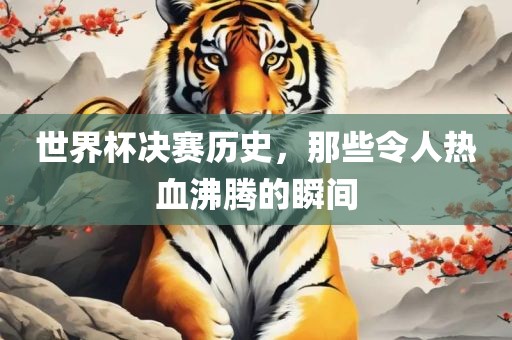 世界杯决赛历史，那些令人热血沸腾的瞬间
