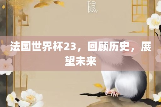 法国世界杯23，回顾历史，展望未来