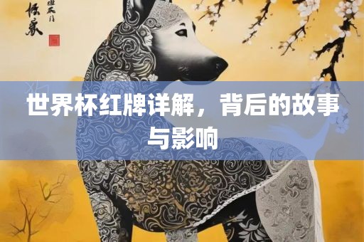 世界杯红牌详解，背后的故事与影响