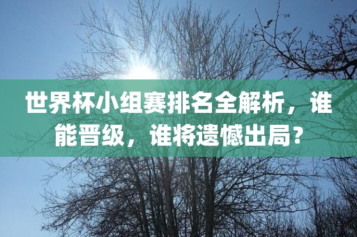 世界杯小组赛排名全解析，谁能晋级，谁将遗憾出局？