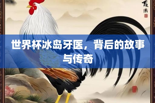 世界杯冰岛牙医，背后的故事与传奇