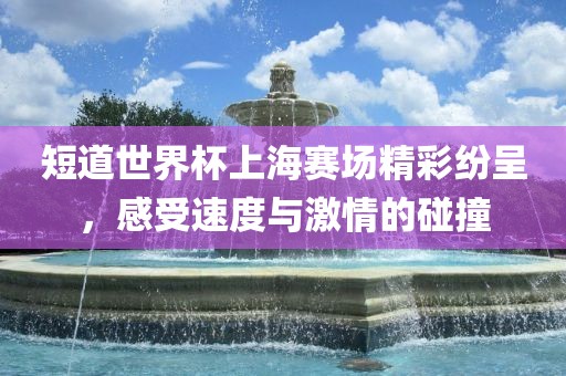 短道世界杯上海赛场精彩纷呈，感受速度与激情的碰撞漯河市盈旭机械设备有限公司
