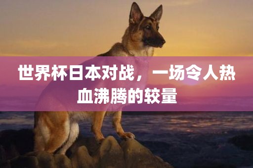世界杯日本对战，一场令人热血沸腾的较量