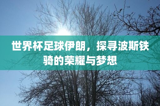 世界杯足球伊朗，探寻波斯铁骑的荣耀与梦想