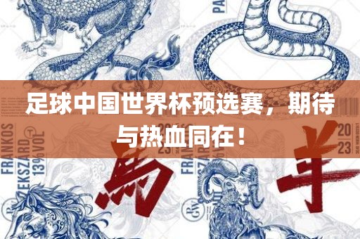 足球中国世界杯预选赛，期待与热血同在！