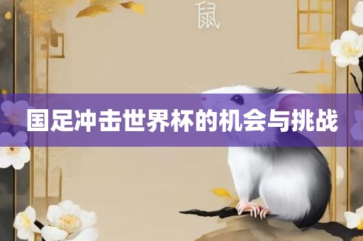 国足冲击世界杯的机会与挑战漯河市盈旭机械设备有限公司