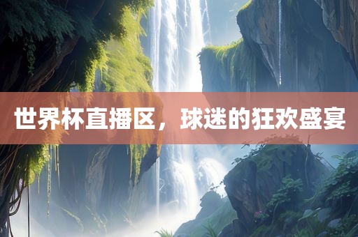 世界杯直播区，球迷的狂欢盛宴